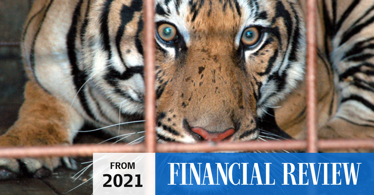 Wild Abandon book A journey into the exotic world of private zoos